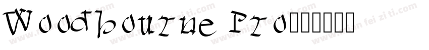 Woodbourne Pro字体转换
